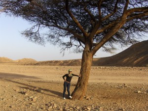 Marsa Alam 103 (Copia)