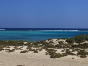 Marsa Alam 125 (Copia)