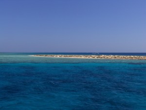 Marsa Alam 134 (Copia)